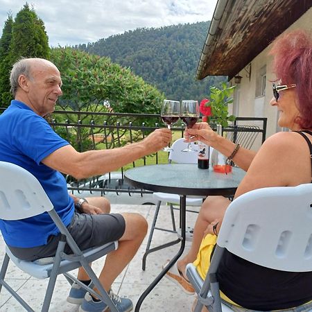 Apartma Ginga Osilnica Exteriér fotografie