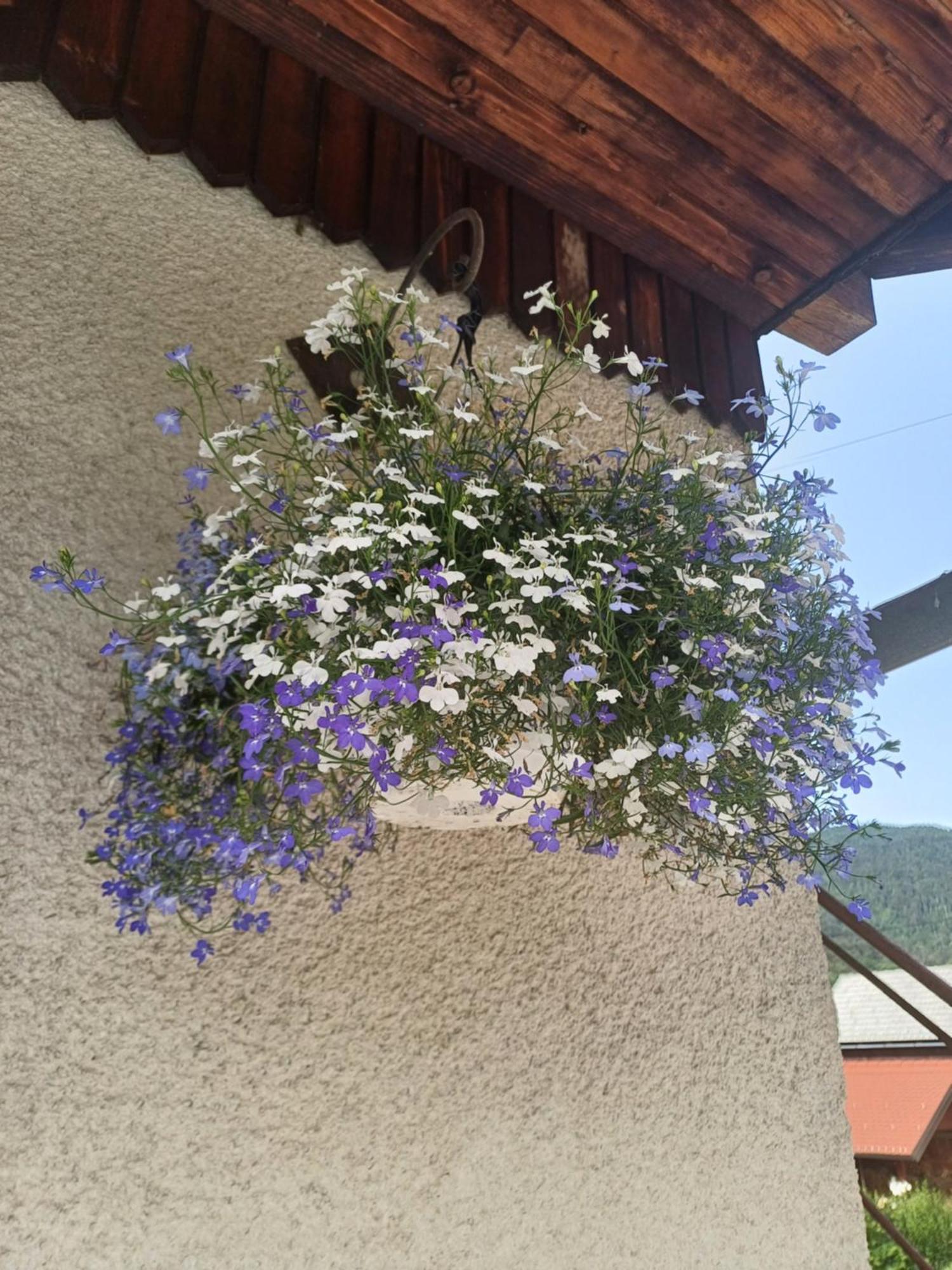 Apartma Ginga Osilnica Exteriér fotografie